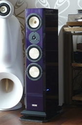 Contrast Black Moon. Floor-standing 3-way home speaker system.