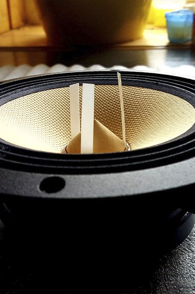 Mid range speaker driver. Paper cone.