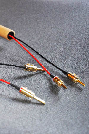 Audio interconnect speaker cable.