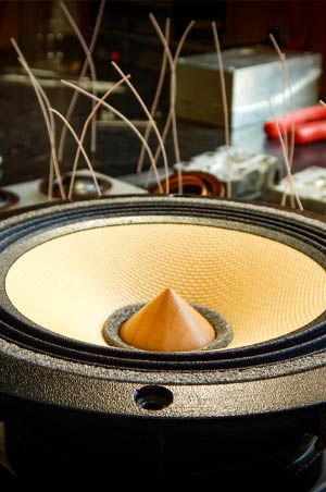 Low range / Mid range speaker tranducter.