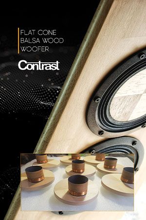 Lowrange High-End loudspeaker driver.