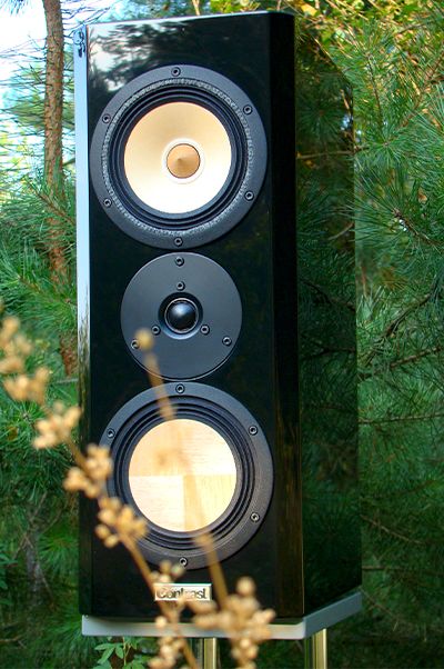 Contrast  Magic model. Book shelf 3-way speaker system.