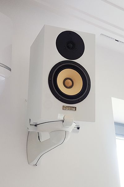 Contrast Monitor speaker system as  L/R channel in home cinema.